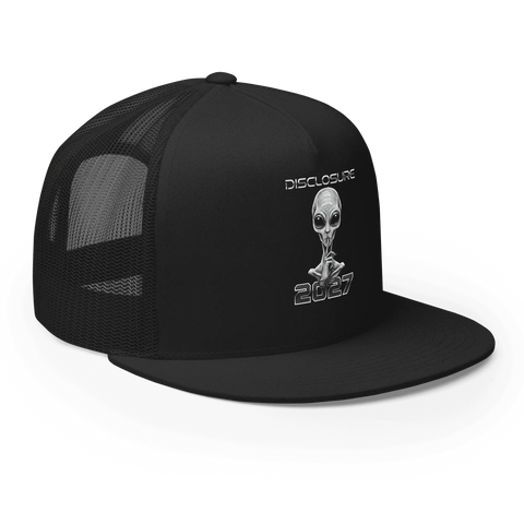 DISCLOSURE | Classic Trucker Cap