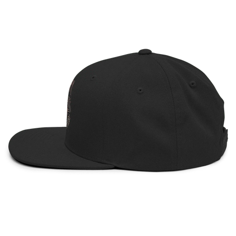 PLANETEARY | Snapback Hat | Black