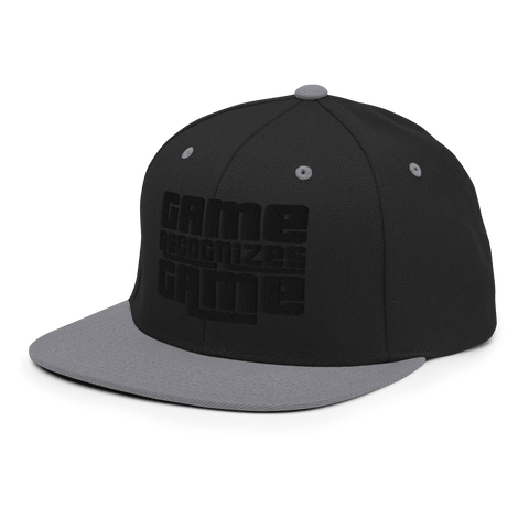 GAME RECOGNIZES GAME | Flat bill | Grey/Black