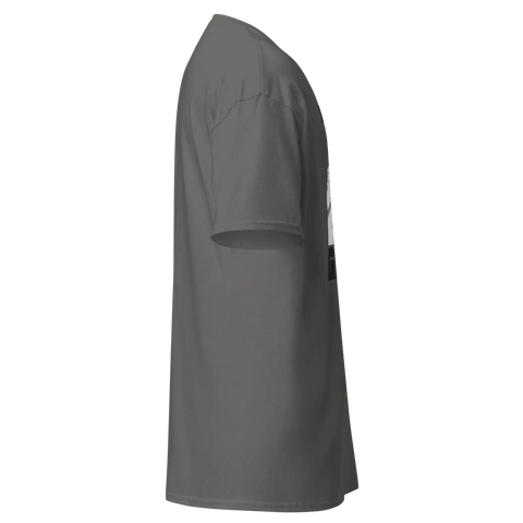 GAME RECOGNIZES GAME | Tee | Grey