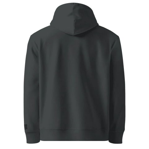 GAME RECOGNIZES GAME | Premium Hoodie | Faded Black