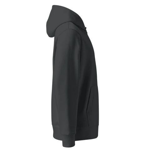 GAME RECOGNIZES GAME | Premium Hoodie | Faded Black