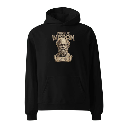 PURSUE WISDOM | Roomy Hoodie