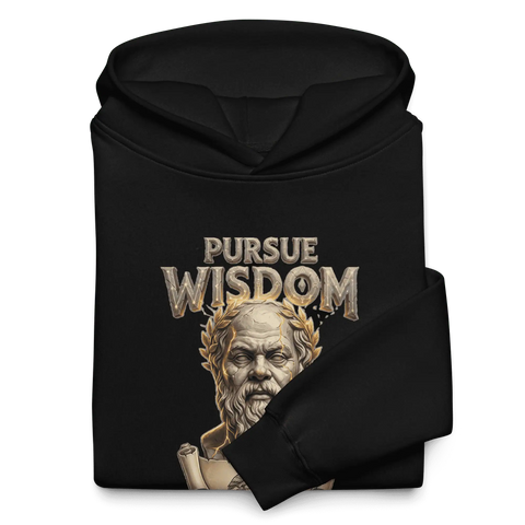 PURSUE WISDOM | Roomy Hoodie
